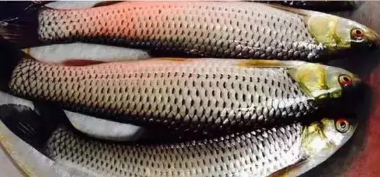 海南深度之旅,热带风情中的体验与感悟