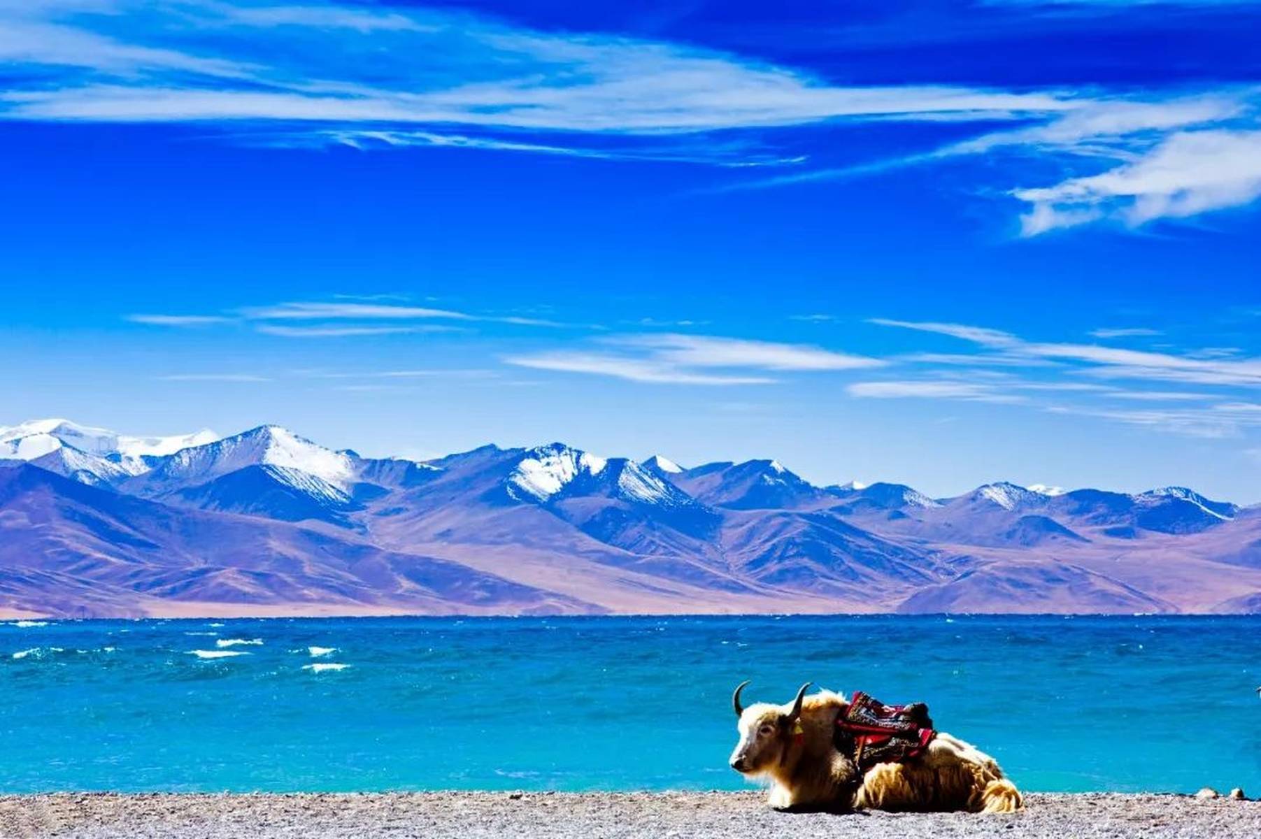 探寻灵魂净土，西藏之旅，自由心灵的诗篇