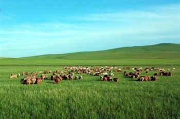 呼伦贝尔,草原生态与民族文化的和谐共生