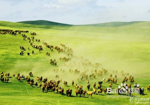 呼伦贝尔,草原生态与民族文化的和谐共生