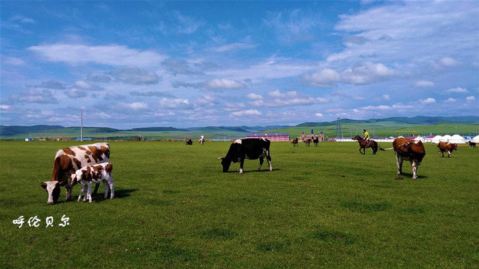 呼伦贝尔,草原生态与民族文化的和谐共生