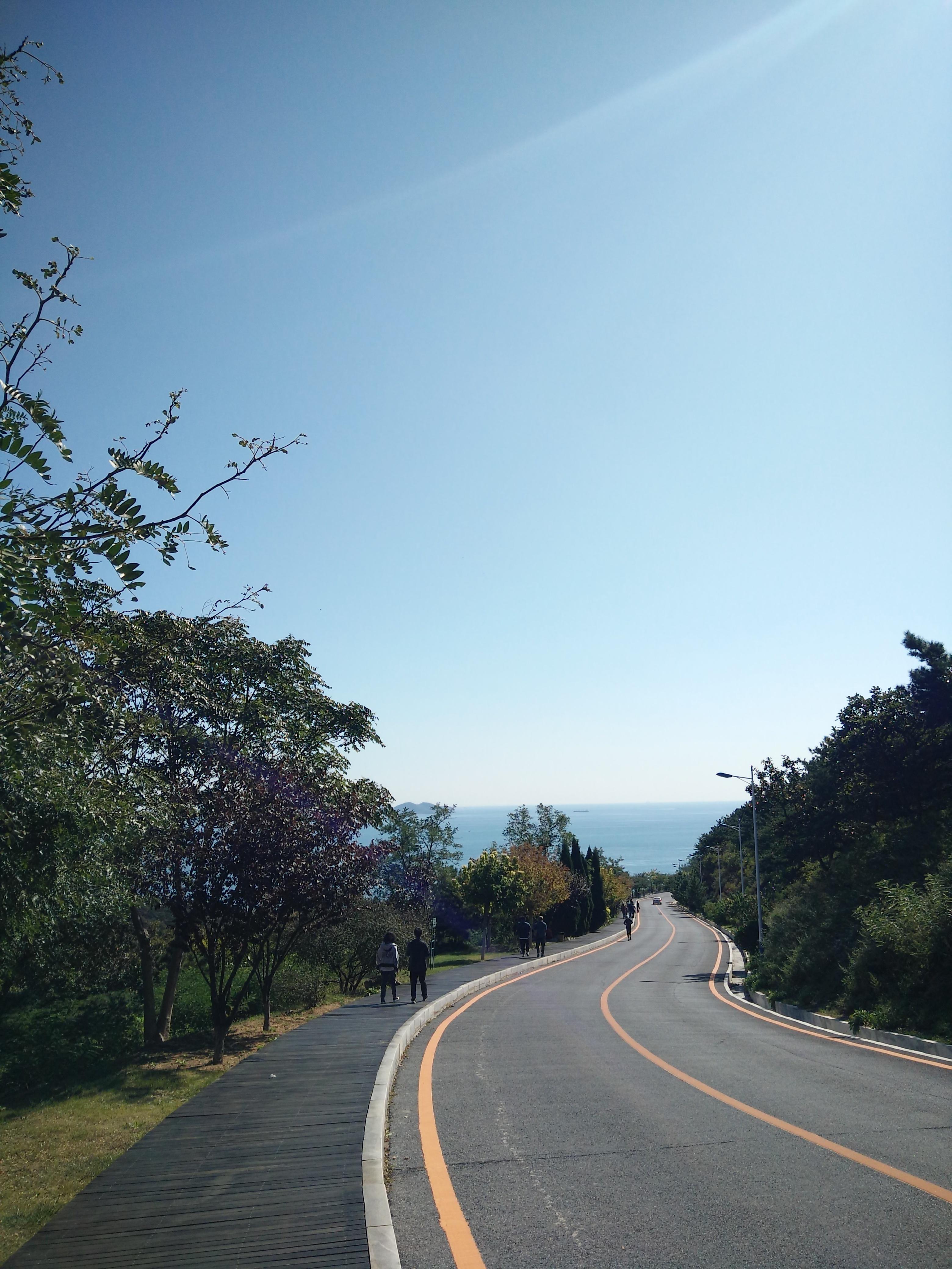 大连,城市风貌与人文魅力的独特展现